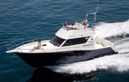 Rodman 1250 2010