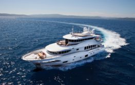 Filippetti Navetta 30 2014