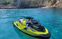Bombardier RXP 300 2019