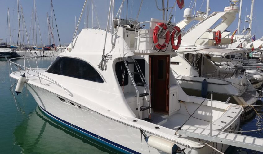 Luhrs 320 Tournament 1995