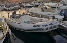 Zodiac PRO 650 OPEN 2004